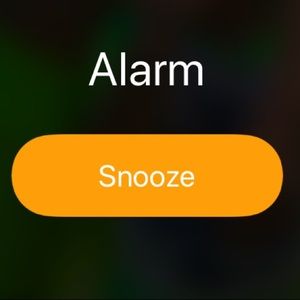 Meet your Posher, Eddie